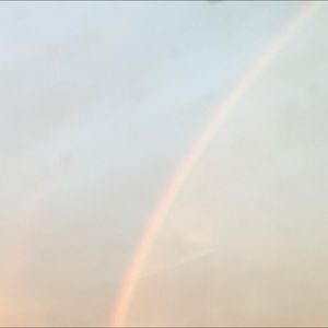 Meet your Posher, Rose